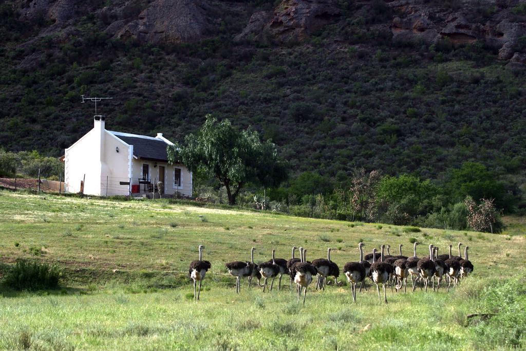 Red Stone Hills Villa Buffelskloof Buitenkant foto